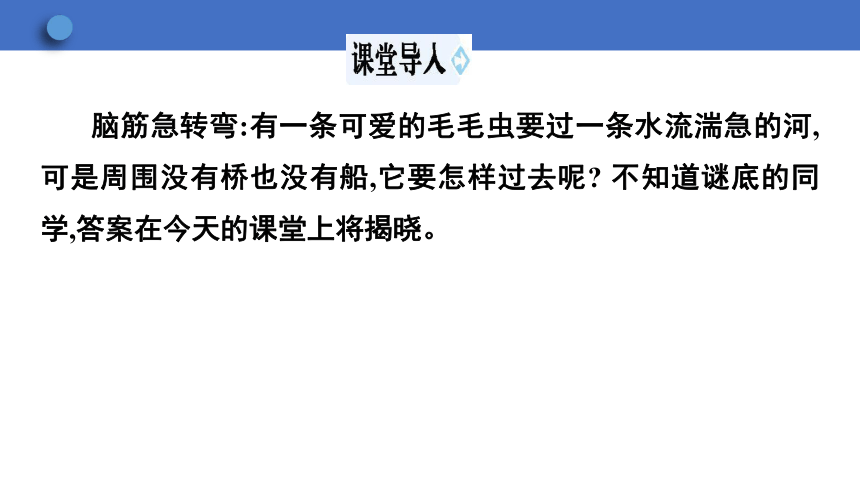 6.1.2 动物的生殖和发育 第1课时课件(共24张PPT)2023-2024学年初中生物冀少版八年级下册