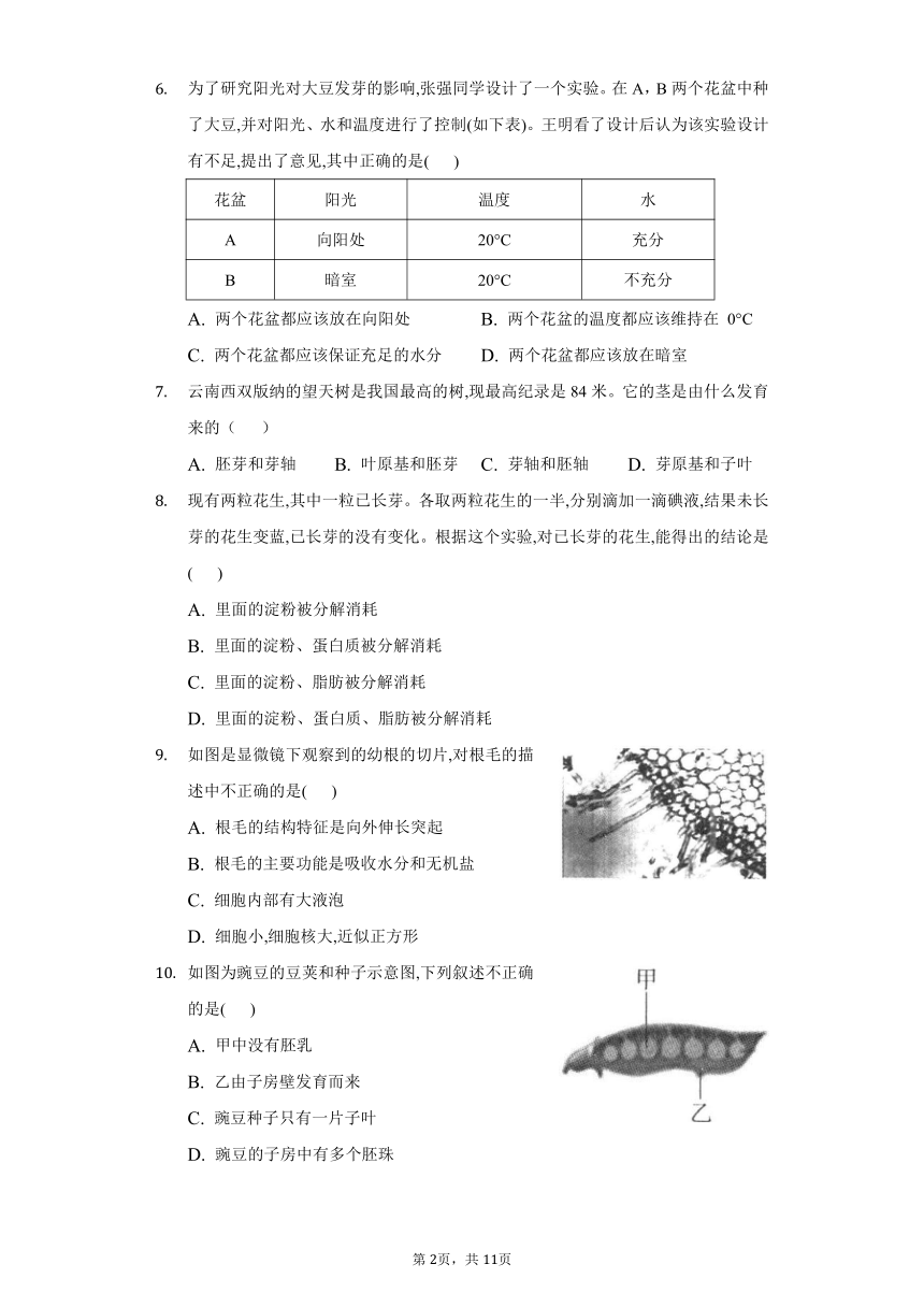 2022-2023学年人教版生物七年级上册单元检测-第三单元　生物圈中的绿色植物(word版含答案）