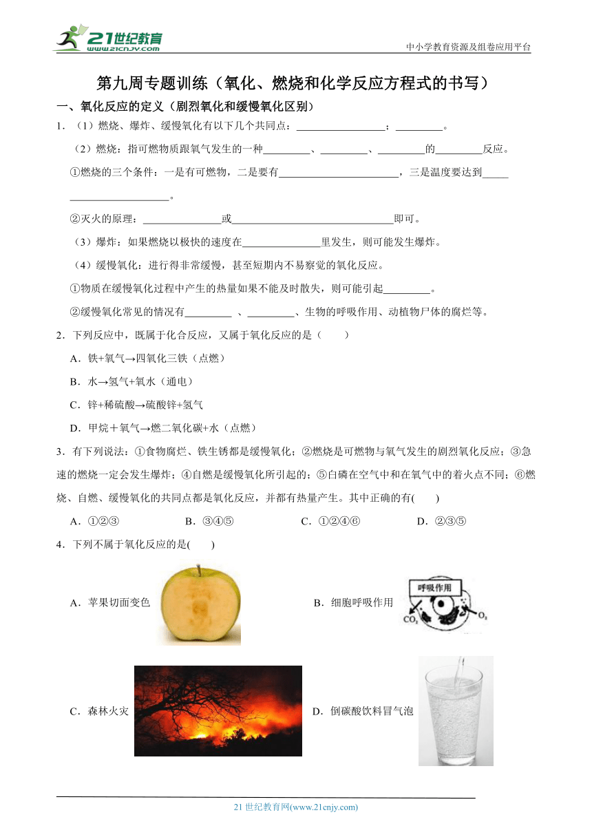浙教版第九周专题训练（氧化、燃烧和化学反应方程式的书写）(含解析)