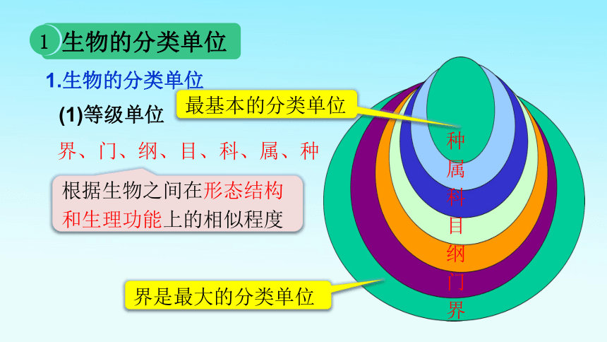 6.1.2从种到界课件 课件(共31张PPT)2021-2022学年人教版八年级上册