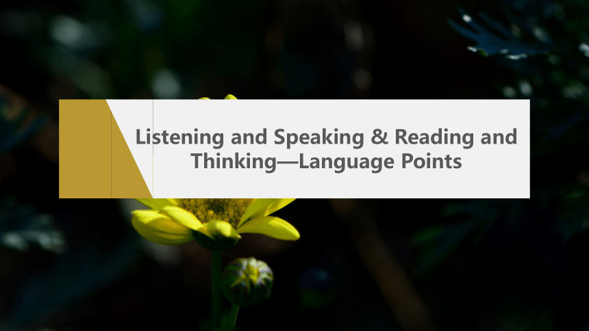 Unit 4Listening and Speaking & Reading and Thinking—Language Points 课件人教版（2019）  必修第三册