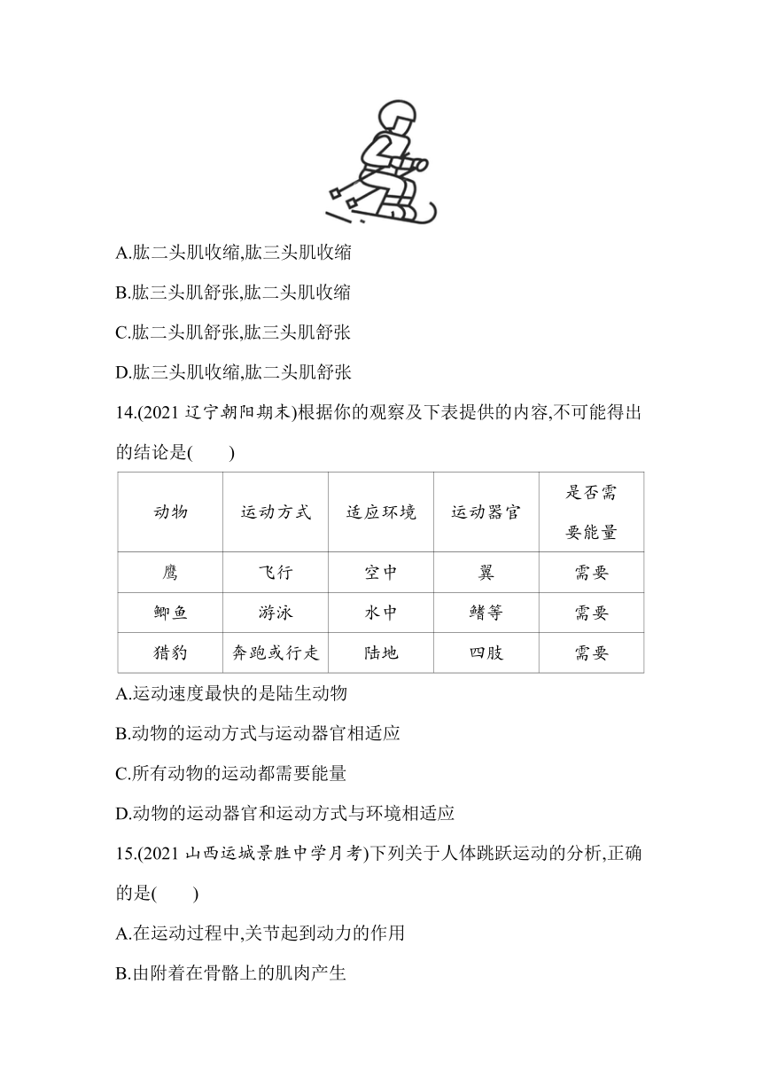 苏教版八年级上册生物 第六单元 第十七章　动物的运动 素养检测（含解析）