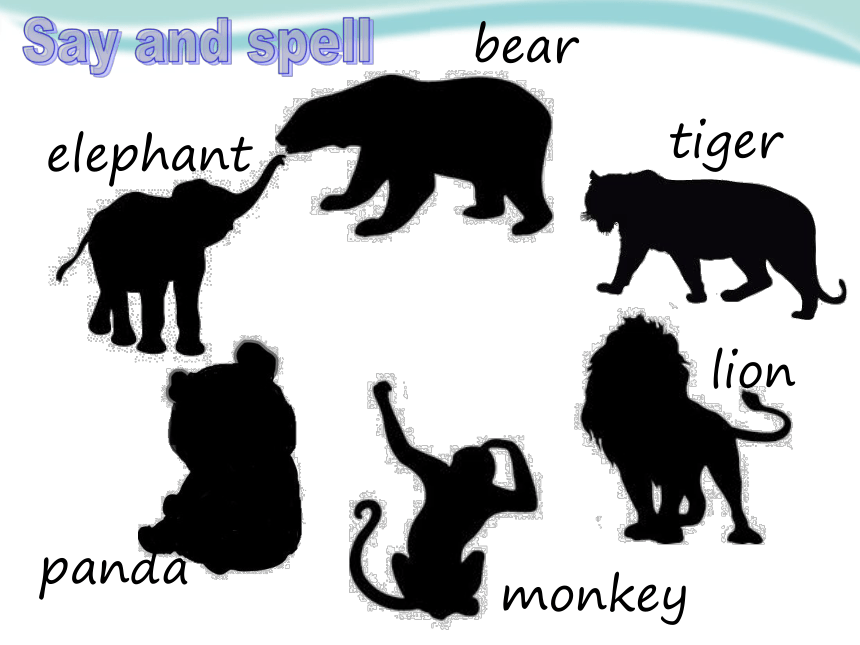 Module 2  Unit 4 Animals in the zoo课件(共21张PPT)