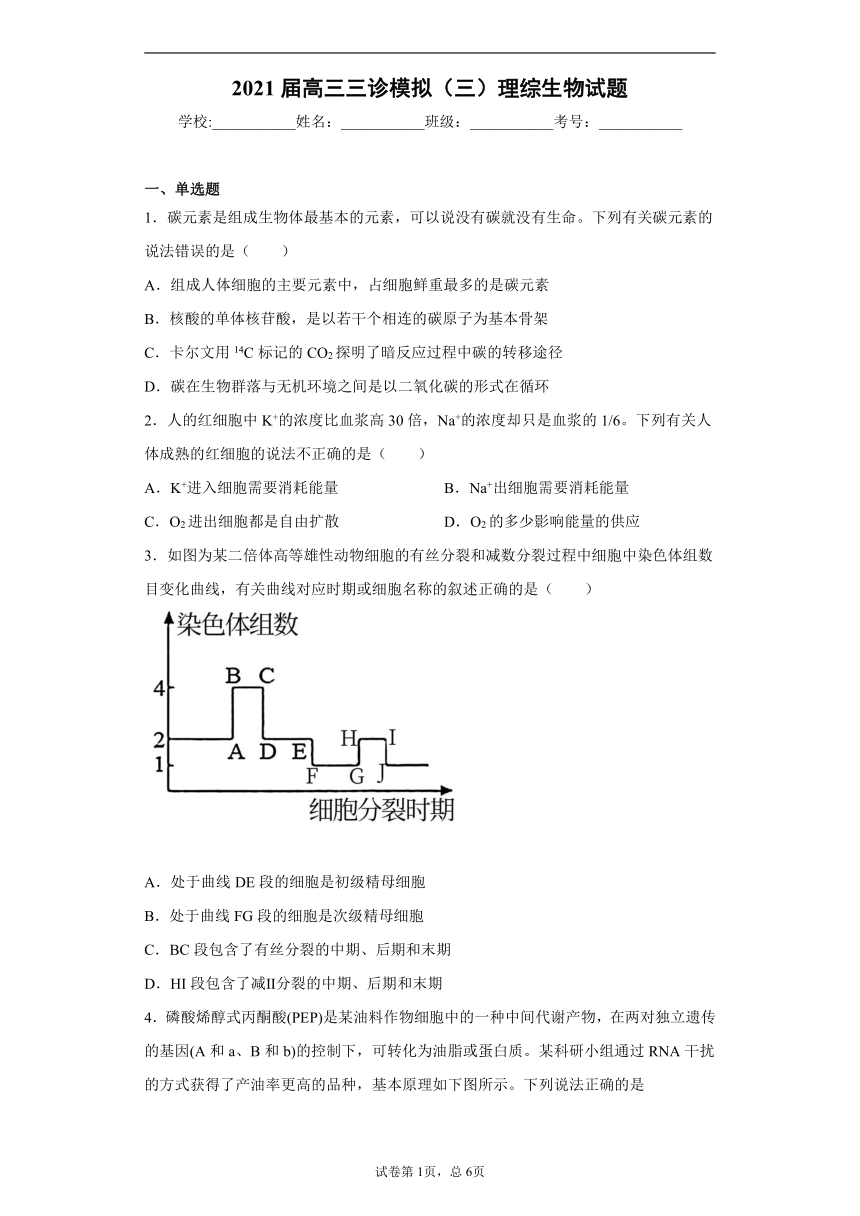 2021届四川省成都市高三三诊模拟（三）理综生物试题（word版 含答案）