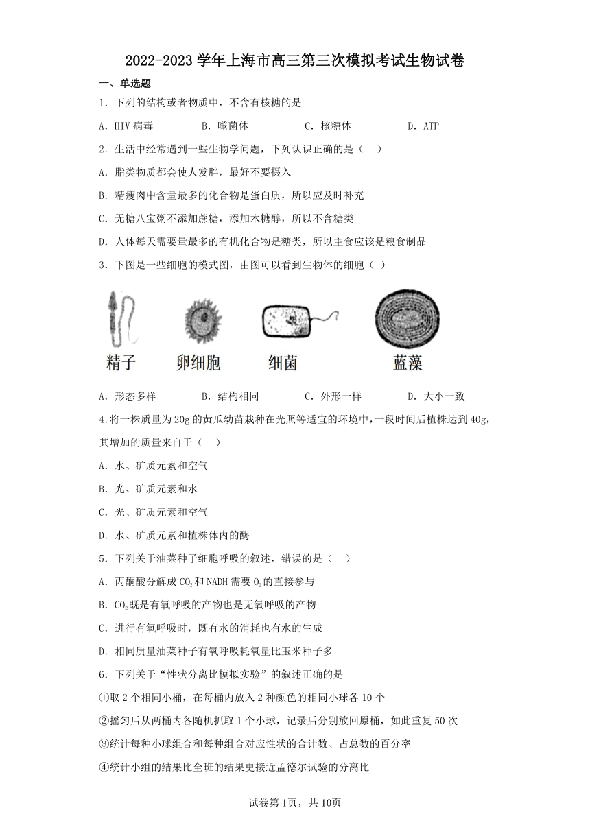 2022-2023学年上海市高三第三次模拟考试生物模拟练习试卷（含解析）