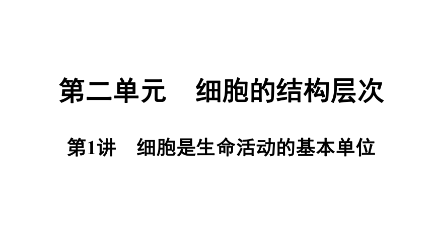 2.1  细胞是生命活动的基本单位期末复习课件(共44张PPT)