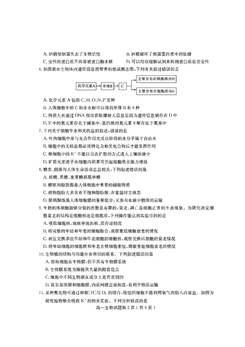 山东省济宁市2020-2021学年高一上学期期末考试生物试卷（扫描版）