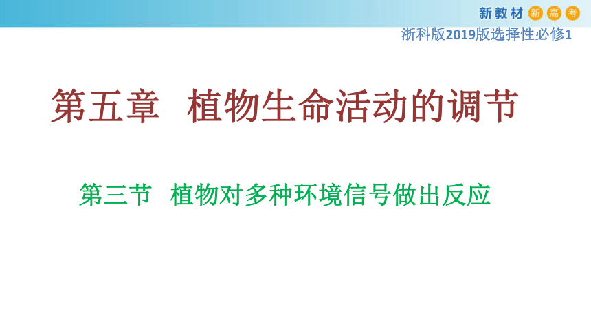 高中生物浙科版（2019）选择性必修1-5.3植物对多种环境信号做出反应课件（共28张ppt)
