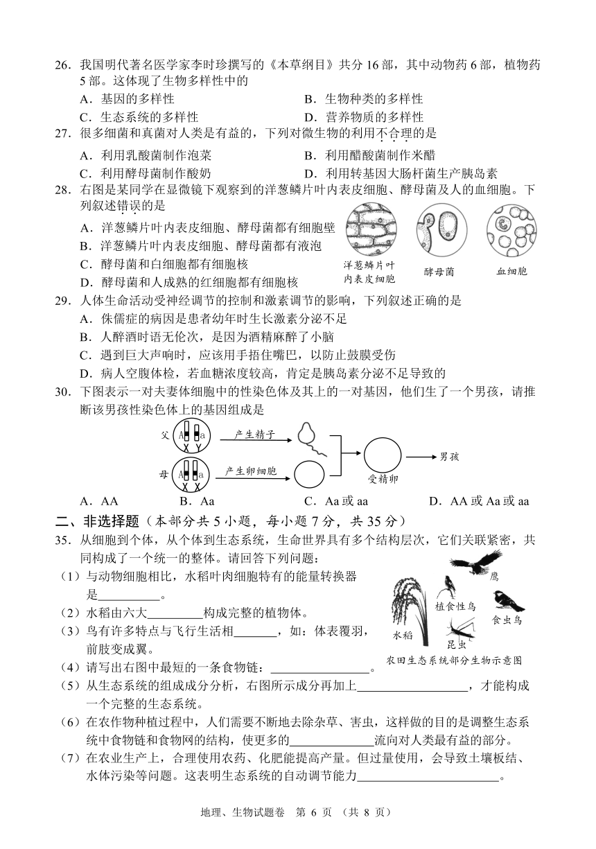 2022年湖北省襄阳市中考生物真题（PDF版，无答案）