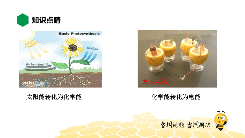 物理九年级-14.3.1【知识精讲】能量的转化和守恒（22张PPT）