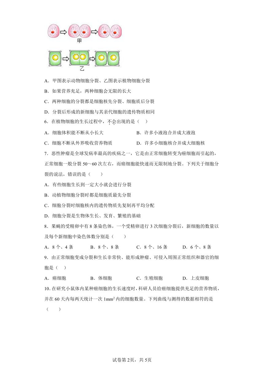 2.2.1细胞通过分裂产生新细胞练习题（含答案） 人教版生物七年级上册