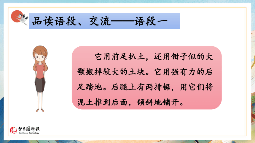 【课件PPT】小学语文四年级上册第三单元—语文园地