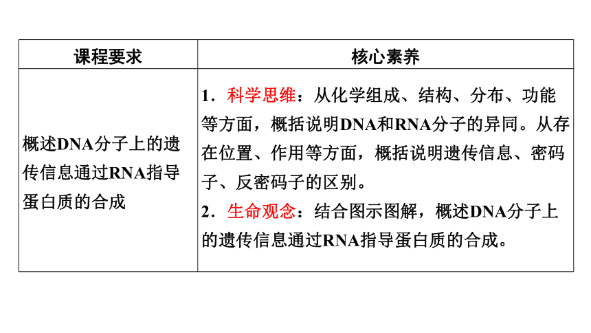 2020-2021学年高一生物（人教版（2019）必修二）4.1 基因指导蛋白质的合成  课件（41张PPT）