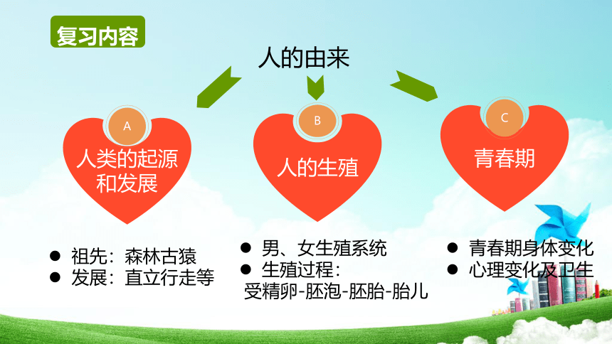 第1章 人的由来 2022-2023学年七年级生物下册单元复习课件（人教版）(共20张PPT)