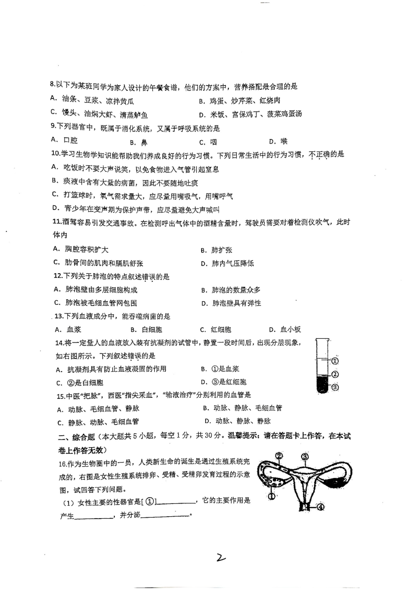 广西南宁市天桃实验学校2023-2024学年七年级下学期4月期中生物试题（pdf版无答案）