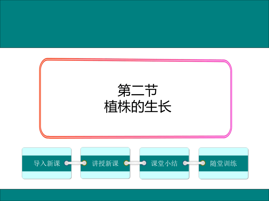 初中生物人教版七年级上册3.2.2植株的生长课件(共33张PPT)