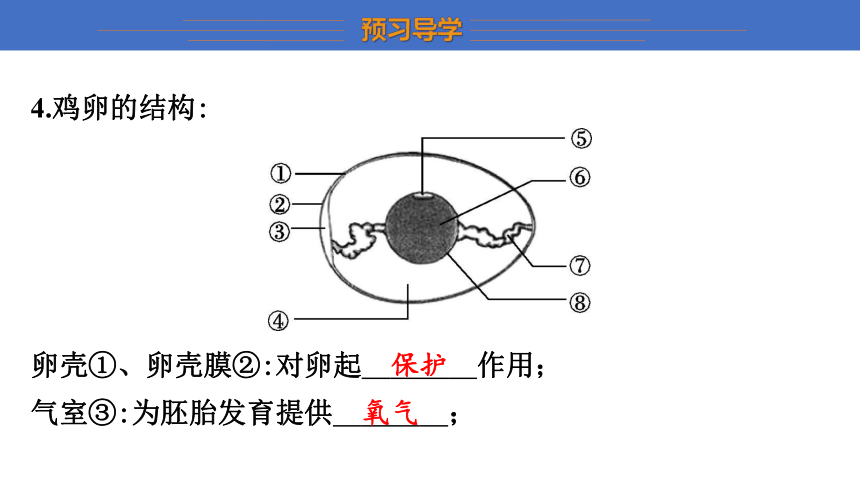 7.20.1 动物的生殖 课件(共22张PPT) 2023-2024学年苏科版生物八年级上册