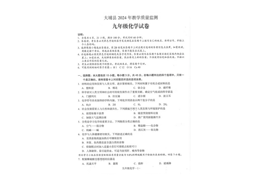 2024年广东省梅州市大埔县九年级一模化学试题（图片版无答案）