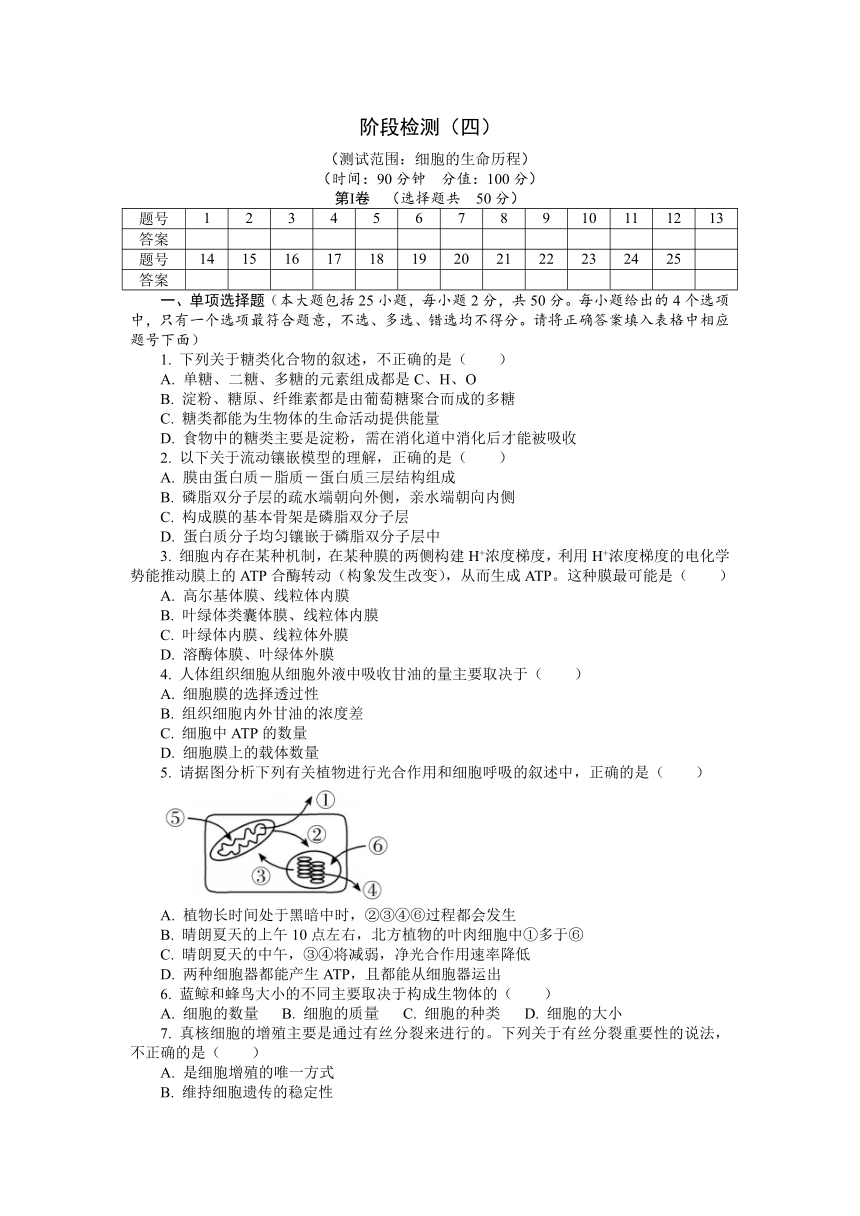 浙科版（2019）生物必修1 第四章 细胞的生命历程 单元检测（含解析）