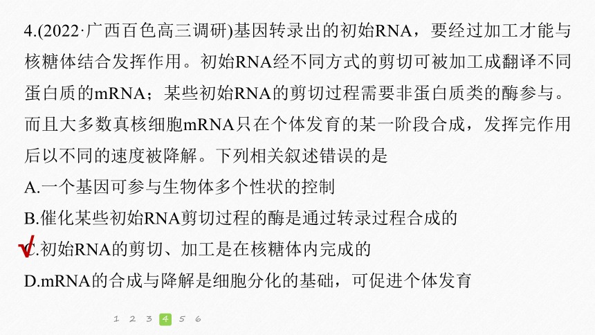 高考生物选择题提速练：(4)遗传的分子基础（课件版共31张PPT)