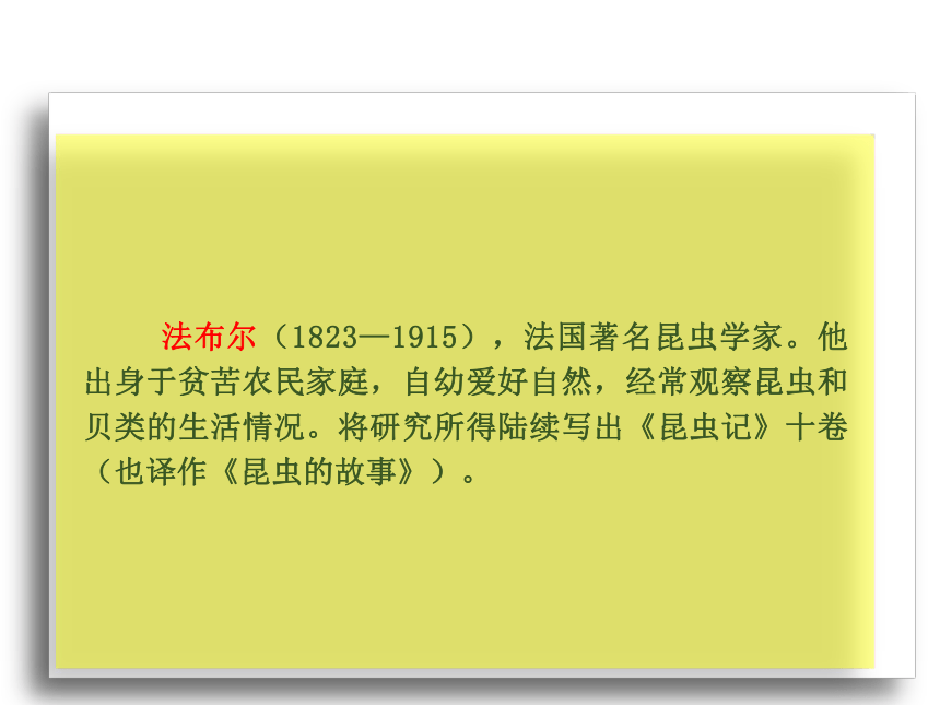 11.蟋蟀的住宅 课件(共43张PPT)