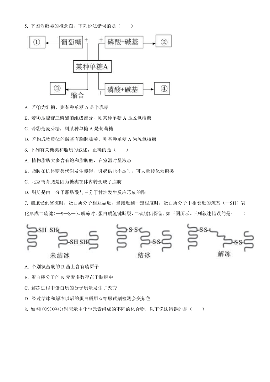 黑龙江省省实中2020-2021学年高一下学期3月开学考试生物试题     含答案