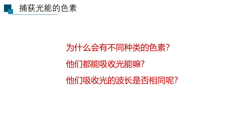 5.4.2光合作用与能量转化课件(共26张PPT)2022—2023学年高一上学期生物人教版必修1