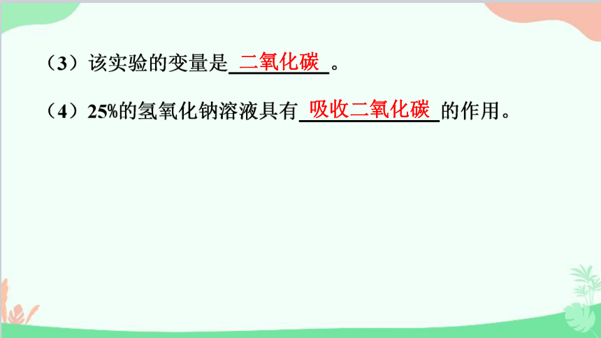 人教版生物七年级上册 3.5.1 光合作用吸收二氧化碳释放氧气 课件 (共28张PPT)