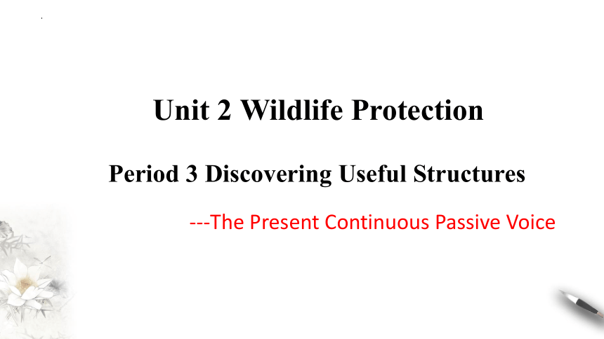 人教版（2019) 必修第二册Unit 2 Wildlife Protection Discovering useful structures 课件-（27张ppt)