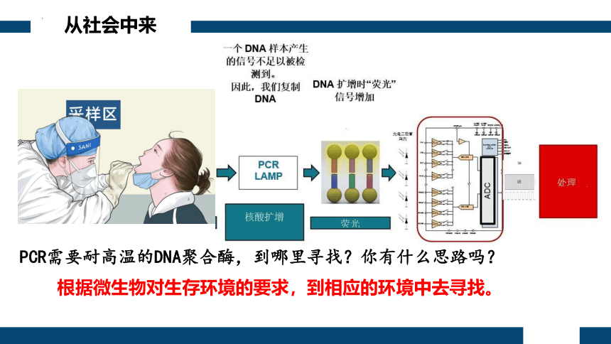 1.2.2微生物的选择培养和计数（第2课时）(共25张PPT)课件-人教版选择性必修三