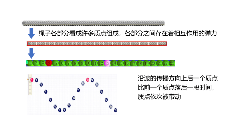 3.1.波的形成课件(共22张PPT)高二上学期物理人教版（2019）选择性必修第一册