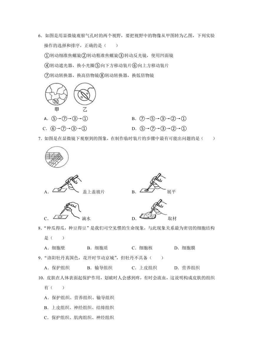 2021-2022学年山东省枣庄市山亭区七年级（上）期中生物试卷（word版含解析）