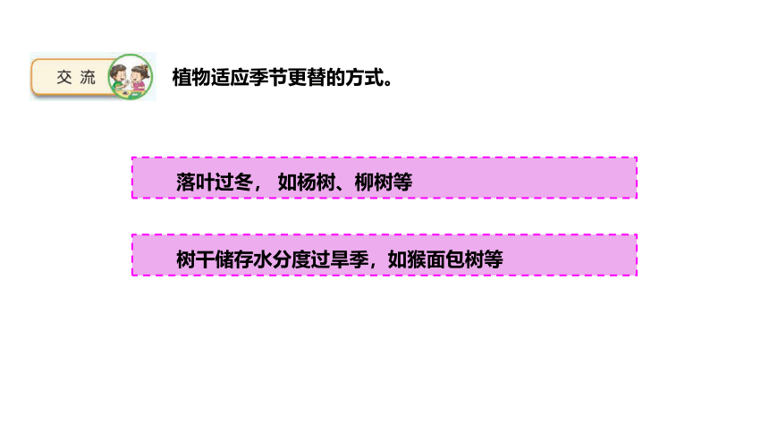 苏教版（2017秋）四年级下册5.17《环境变化以后》课件(共27张PPT)