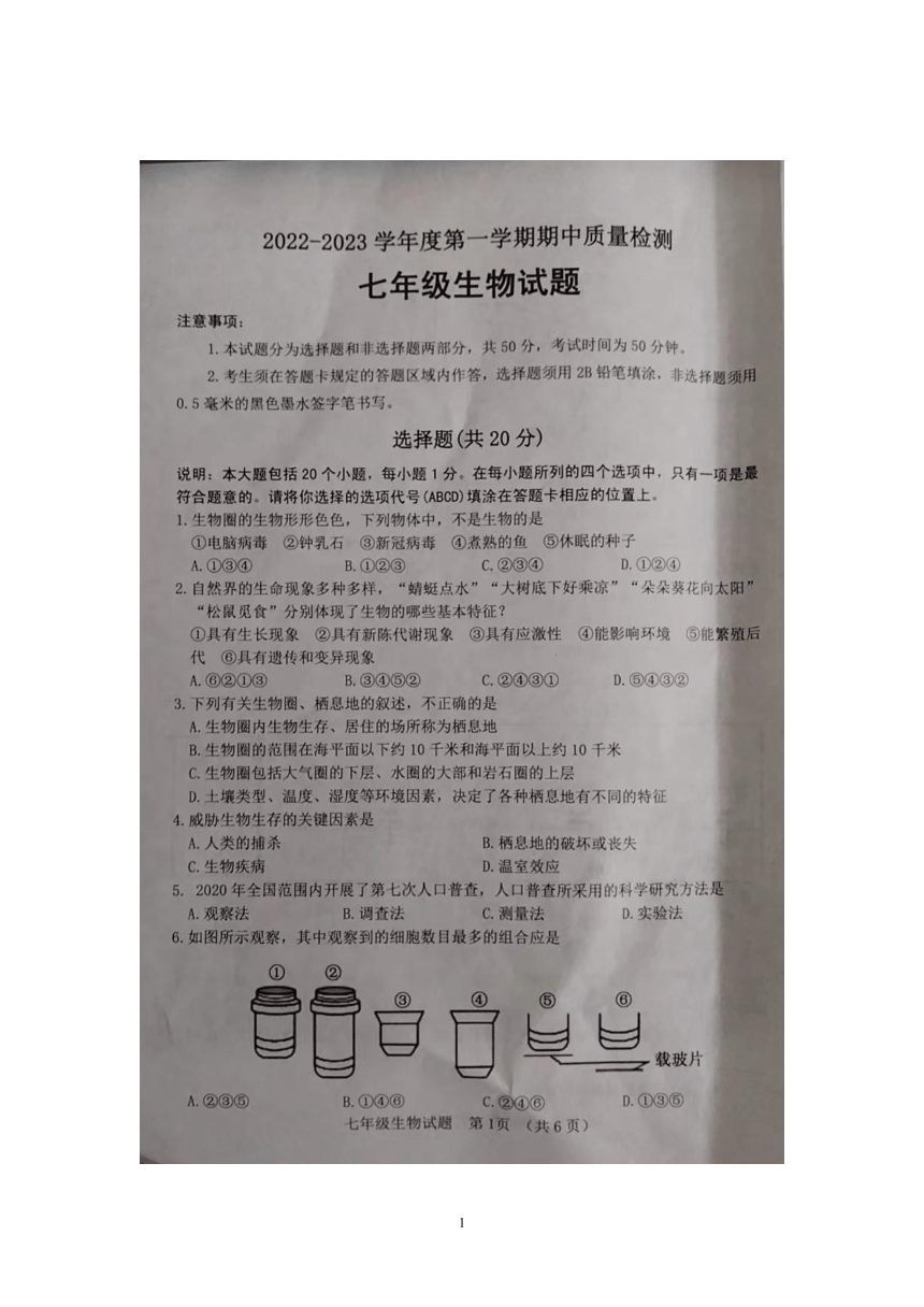 山东省东明县2022-2023学年七年级生物上学期期中试题（图片版 含答案）