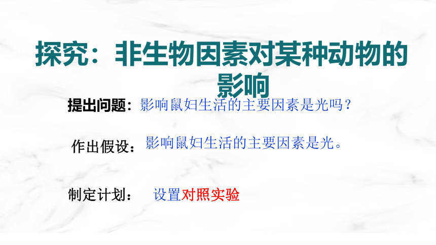 冀少版生物八年级下册7.1.1.1非生物因素对生物的影响  课件（共24页PPT）