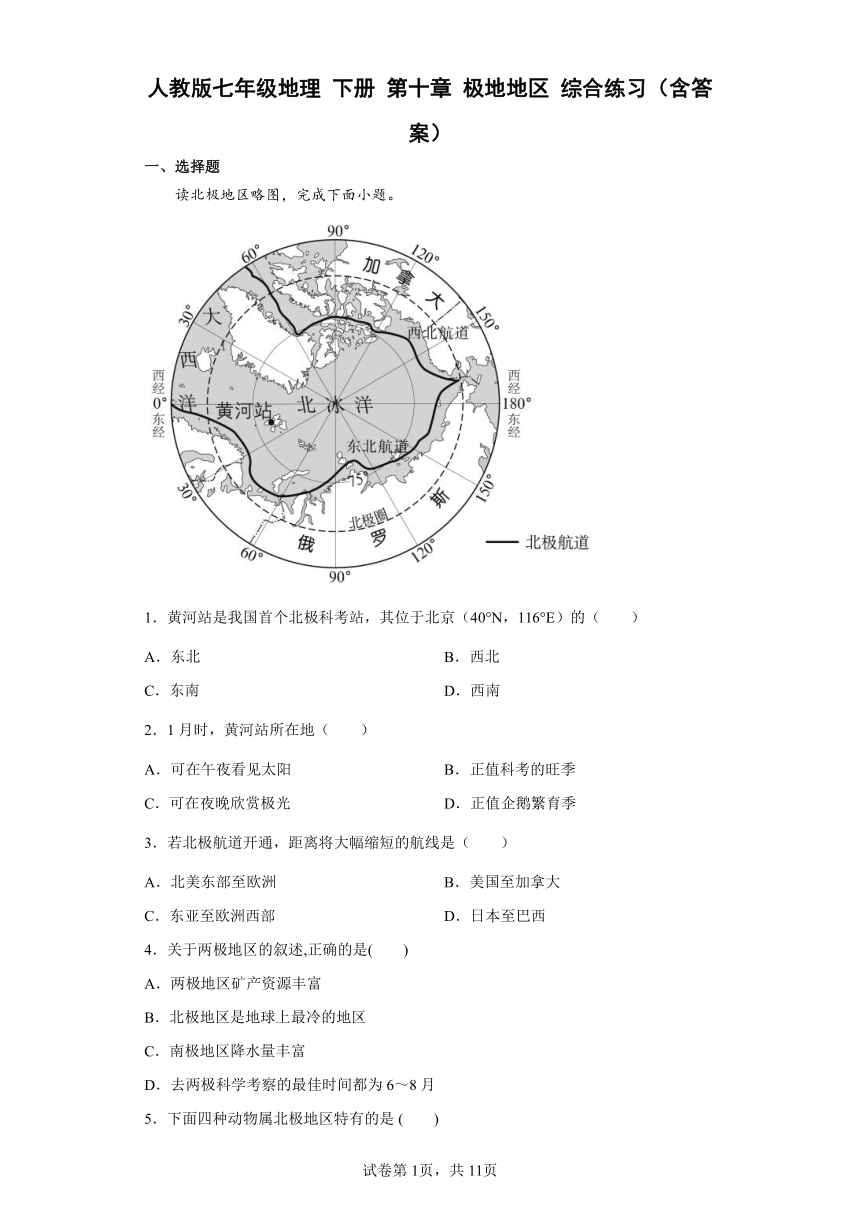 人教版七年级地理 下册 第十章 极地地区 综合练习（Word版含答案）