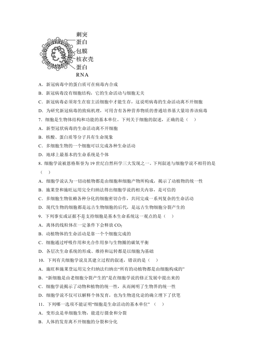 2022-2023学年高一上学期生物人教版（2019）必修1-1.1细胞是生命活动的基本单位 同步练习（含答案）