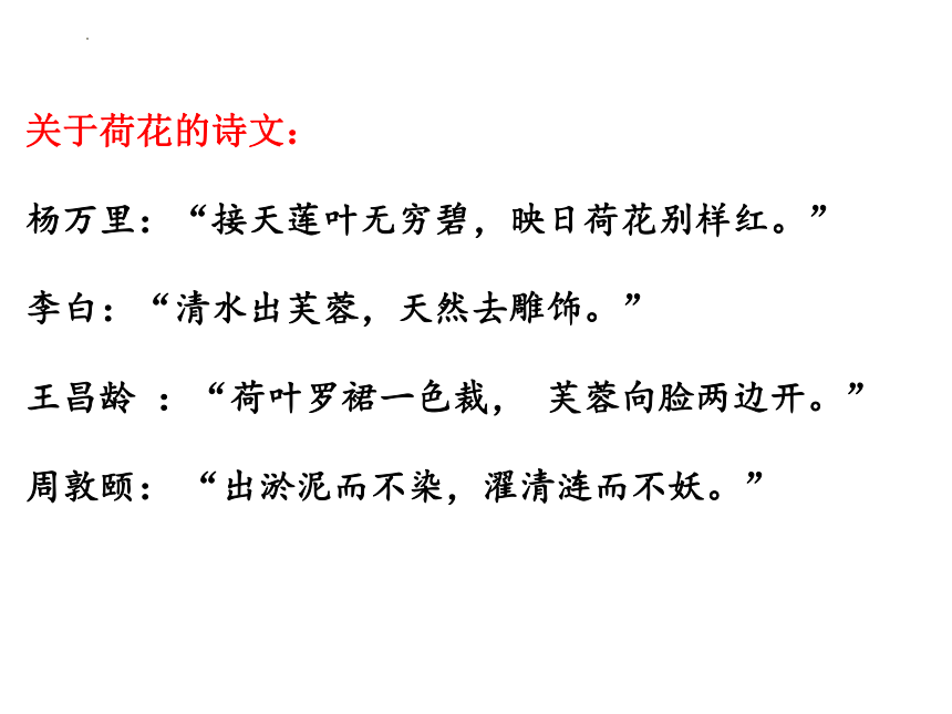 语文统编版必修上册14.2《荷塘月色》课件（共82张ppt)