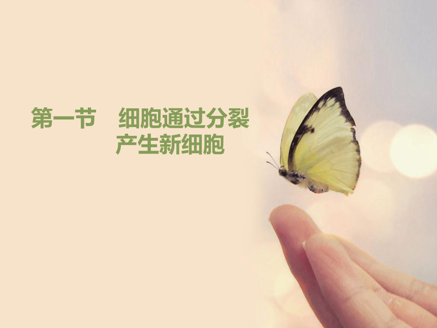 2022--2023学年人教版生物七年级上册2.2.1 细胞通过分裂产生新细胞课件（共24张PPT）