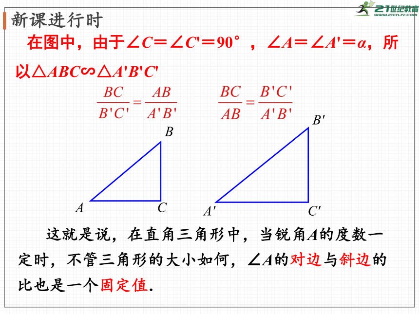 北1.1 第2课时 正弦与余弦  课件（共40张PPT）