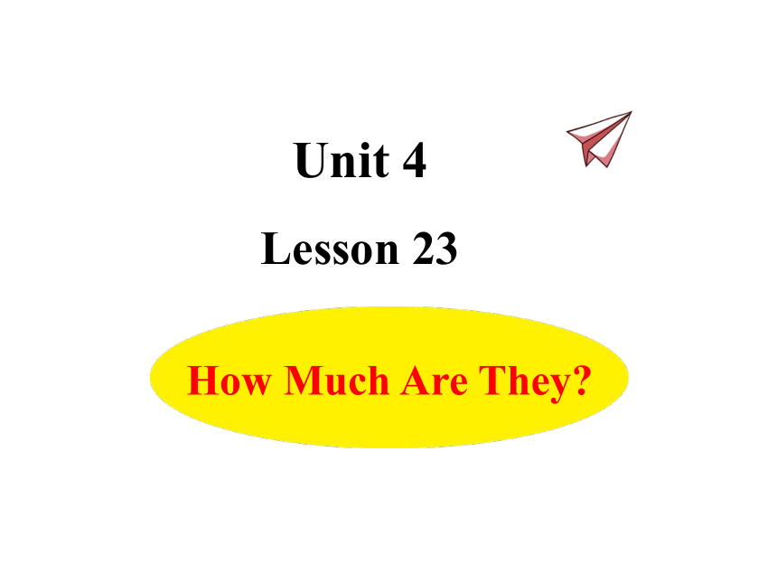 Unit 4  Lesson 23 How Much Are They？课件(共19张PPT)