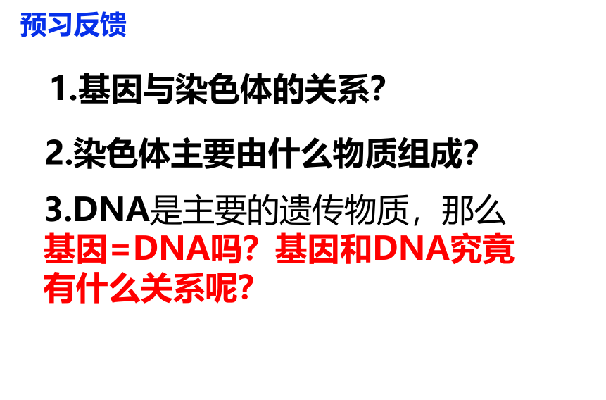 生物人教版(2019）必修2 3.4 基因是有遗传效应的DNA片段（共19张ppt）