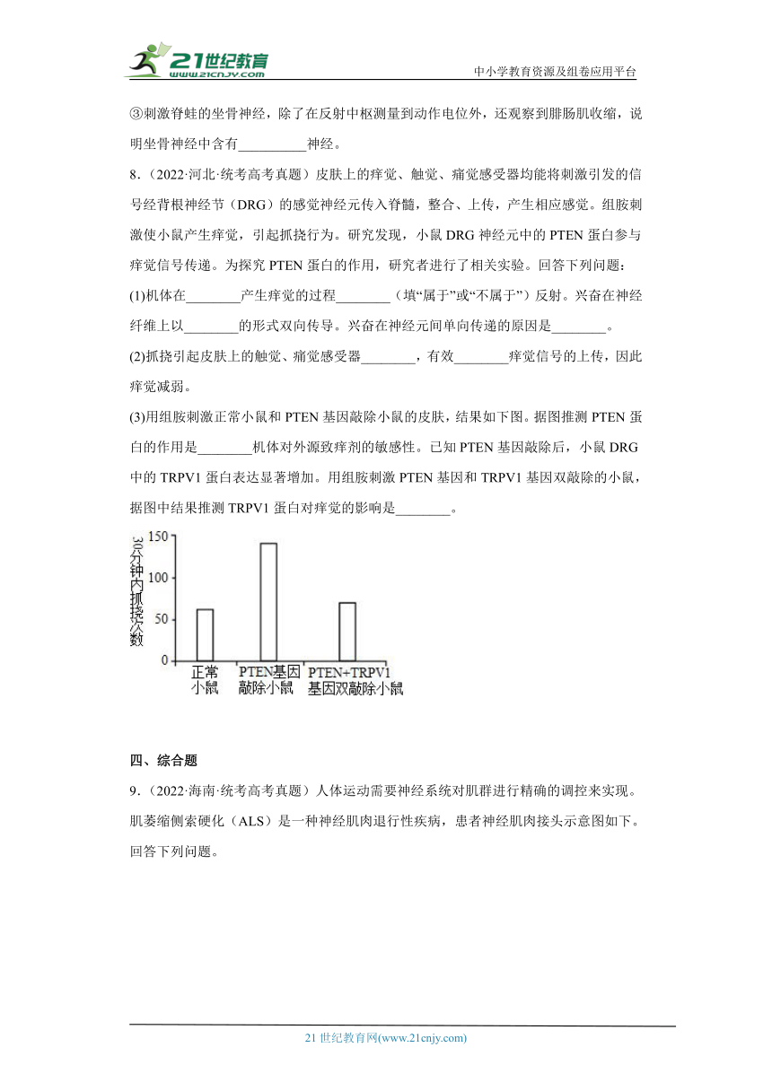 五年2018-2022高考生物真题按知识点分类汇编57-膜电位的变化及相关曲线、兴奋的传导和传递实验、药物对兴奋传导和传递的影响（含解析）