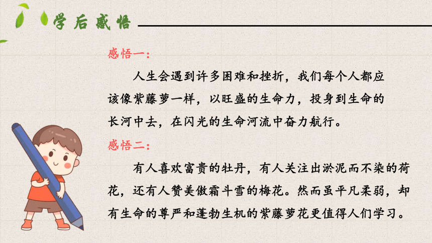 18  紫藤萝瀑布  第二课时  课件