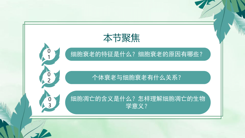 高中生物人教版（2019）必修1-6.3细胞的衰老和死亡（教学课件）（39张ppt）