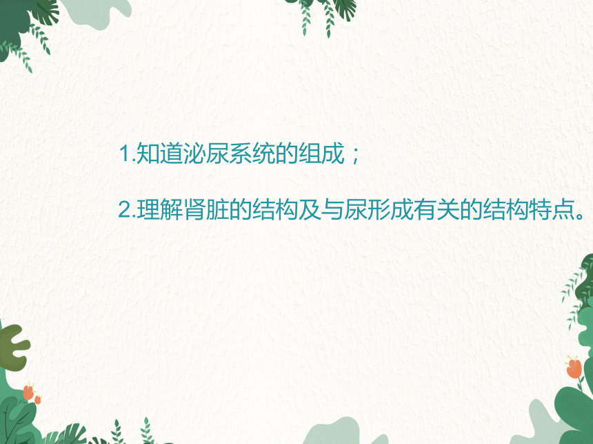 鲁科版（五四制）生物七年级上册 第四单元第五章第一课时第一节尿的形成和排出课件（共18张PPT）