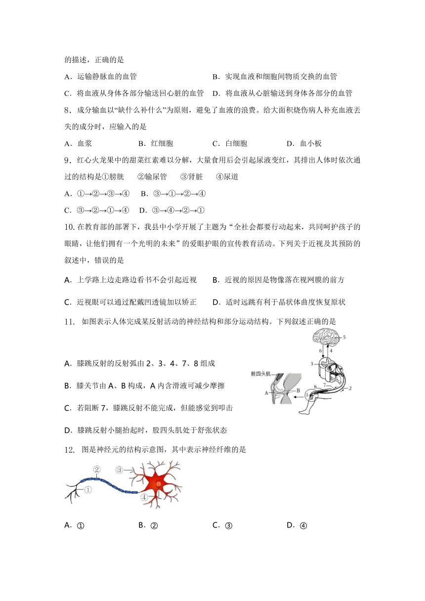 山西省吕梁市交城县2022-2023学年七年级下学期期末生物试题（含答案）