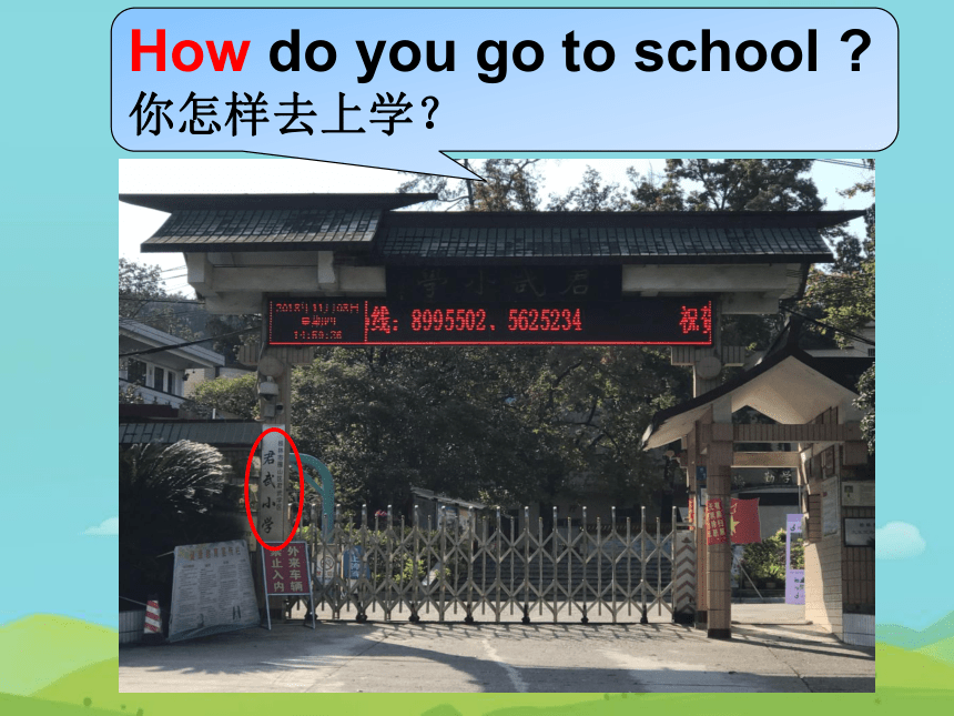 Module 7 Unit 1 How do you go to school？ 课件 (共18张PPT)