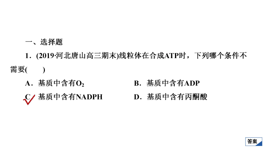 高考生物热点集训3　细胞呼吸与光合作用(共31张PPT)