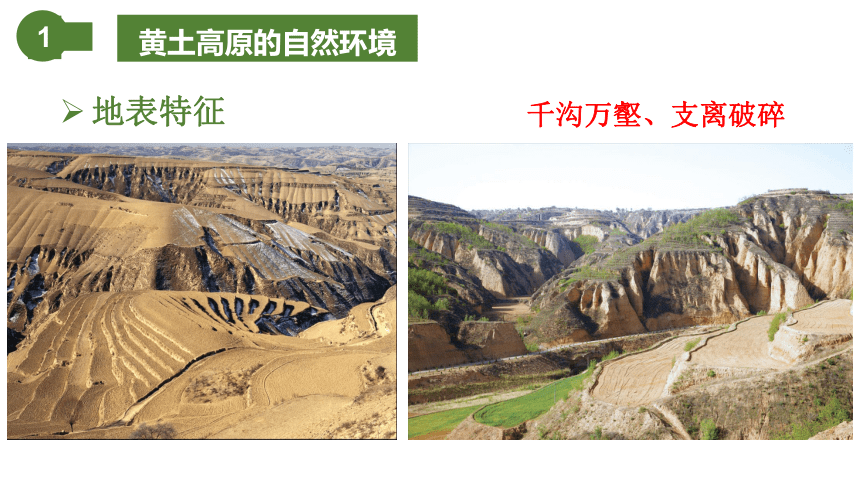 地理仁爱版八下7.1黄土深厚千沟万壑的地形区——黄土高原课件（共23张PPT）